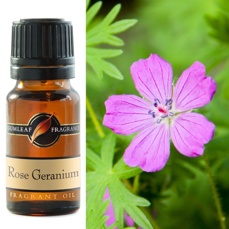 Rose Geranium Fragrance Oil 10ml