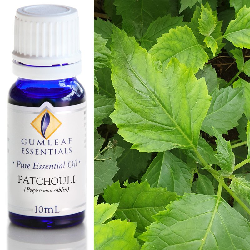 Patchouli Pure Essential Oil 10ml